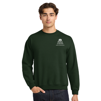 Gildan Sweatshirt